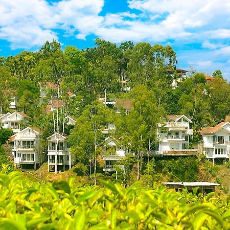 Dazzle Villa Resort 卡尔佩特塔 外观 照片